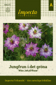 En sommerdans