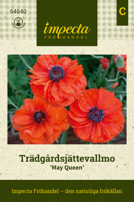 Skønhed fra knop til frøstand