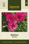 Glamourøs kornblomst