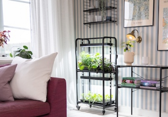 Dyrk i højden med vækstlys