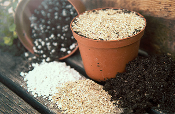 Perlit og vermiculit i dyrkning