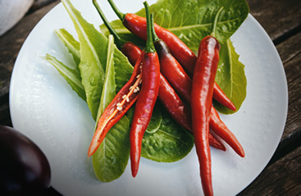 Lær at dyrke chili og paprika