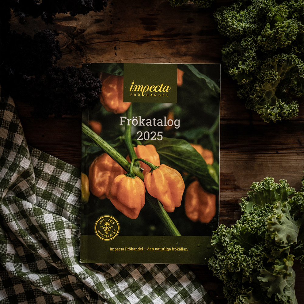 Frøkatalog i gruppen  hos Impecta Fröhandel (00)