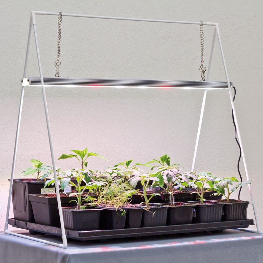 Growlight Duo 20 W LED med stativ i gruppen Tilbehør / Plantebelysning hos Impecta Fröhandel (55410)