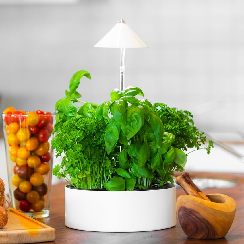 Sunlite miniHERB 10 W i gruppen Tilbehør / Plantebelysning hos Impecta Fröhandel (55417)