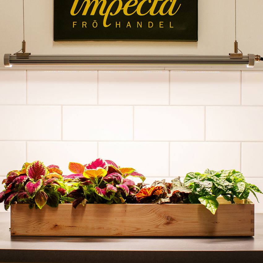 LED-belysning 60 cm 40 W Start i gruppen Tilbehør / Plantebelysning hos Impecta Fröhandel (55828)