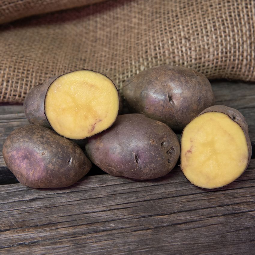 Læggekartofler ''''''''Blå Mandel'''''''' 1 kg, Melede kartofler, sene med god o