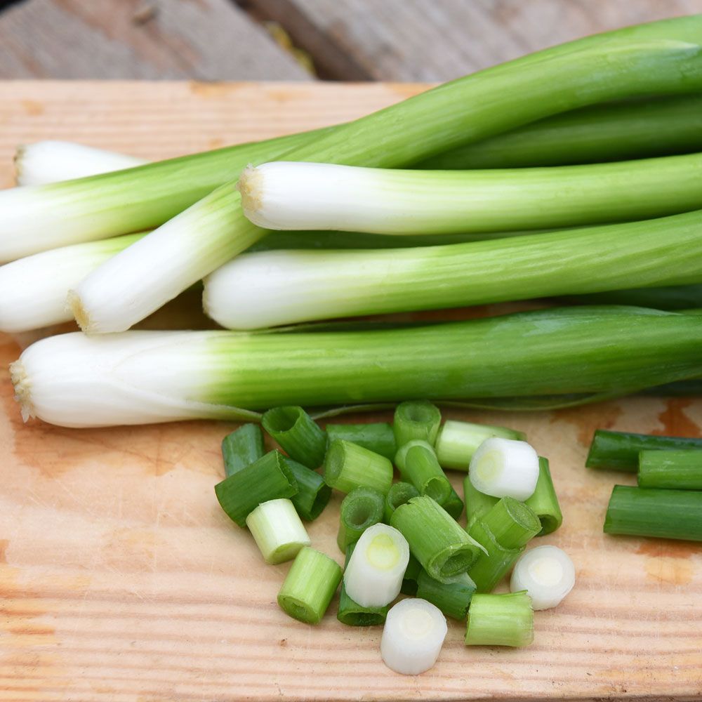 Salatløg ''Parade'' Hurtigtvoksende, delikat grønt løg med en mild, fin smag.