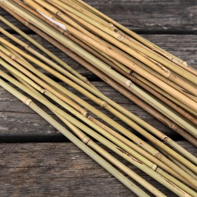 Bambuspinde 75 cm 10-pak