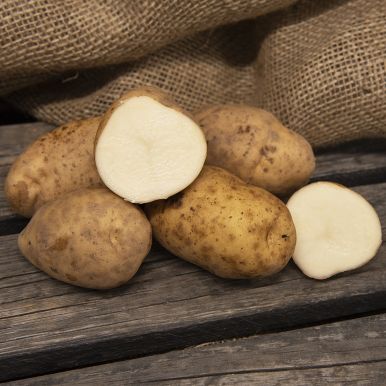 Læggekartofler 'Maris Bard' 1 kg