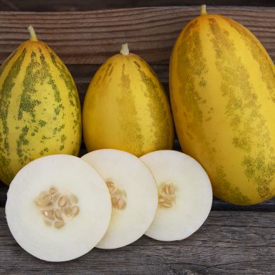 Orientalsk melon F1 'Prolific'