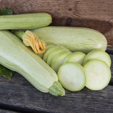 Squash 'Long White from Sicily'