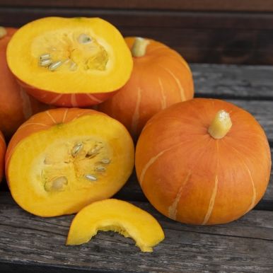 Giant Pumpkin F1 'Bright Summer'