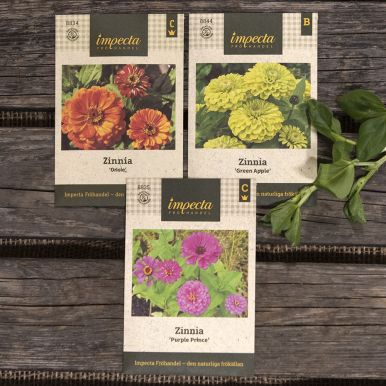 Onkel Gröns bedste - Zinnia