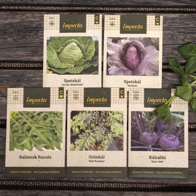 Onkel Gröns bedste - kålplanter