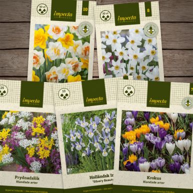 Blomster til insekter