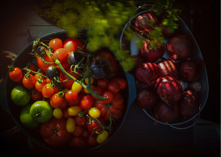 Alla tomatsorter