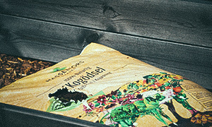 Havanapeber 'Habanero Orange' Hasselfors kogødning