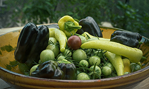 Paprika, tomat og chili