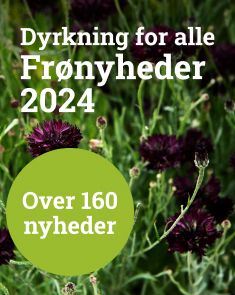 Frønyheder 2024