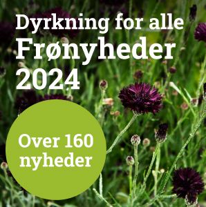 Frønyheder 2024