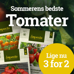 Tomater - 3 for 2