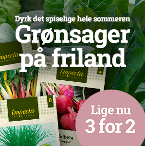 Grønsager - 3 for 2