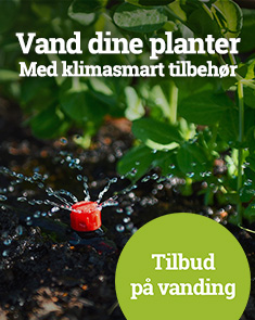 Vand dine planter