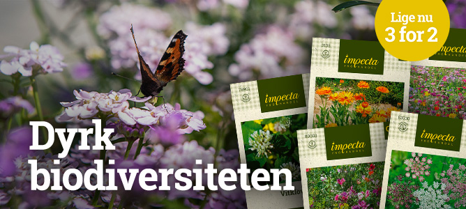 øg biodiversiteten - 3 for 2