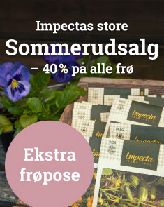 Sommerudsalg
