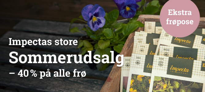 Sommerudsalg