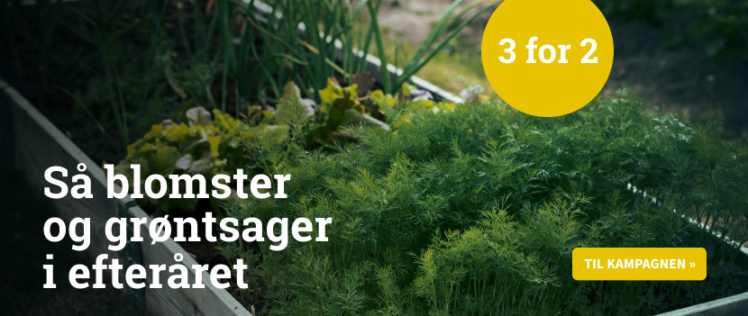 Høstså - 3 för 2