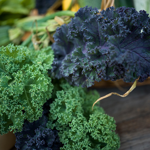 Kål og broccoli