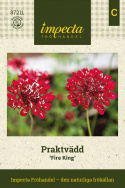 Løjnefaldende plukkebed