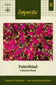 Paletblad 'Colocha Rose'