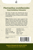Paletblad 'Giant Exhibition Palisandra'