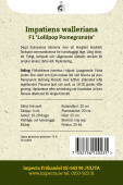 Flittiglise F1 'Lollipop Pomegranate'
