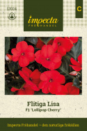 Flittiglise F1 'Lollipop Cherry',  Fyldig, kompakt og velforgrenet vækstform, udmærket til ampler, krukker, plantekasser og bede.