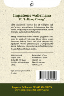Flittiglise F1 'Lollipop Cherry',  Fyldig, kompakt og velforgrenet vækstform, udmærket til ampler, krukker, plantekasser og bede.