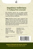 Flittiglise F1 'Lollipop Pink Lemonade'