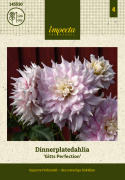 Dinnerplatedahlia 'Gitts Perfection', ca. 20-25 cm store, fyldte blomster i forskellige nuancer af sart rosa med cremehvide kronbladsspidser.