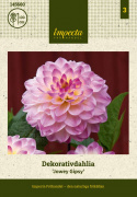 Dekorativ dahlia ''Jowey Gipsy'' 1 stk.