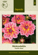Åkandedahlia ''Pacific View'' 1 stk.