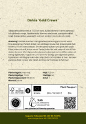 Kaktusdahlia ''Gold Crown'' 1 stk.