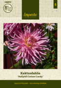 Kaktusdahlia 'Hollyhill Cotton candy', Dejlig kaktusdahlia med ca. 15-20 cm store, fyldte, klartrosa blomster med cremegul midte.