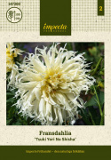 Fransdahlia ''Tsuki Yori No Shisha'' 1 stk.