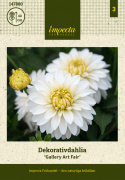 Dekorativ dahlia ''Gallery Art Fair'' 1 stk.