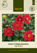 Enkel havedahlia ''Topmix Red'' 1 stk.