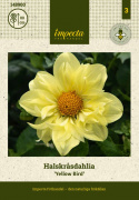 Halskrave-dahlia ''Yellow Bird'' 1 stk.
