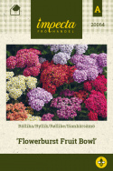 Røllike 'Flowerburst Fruit Bowl'